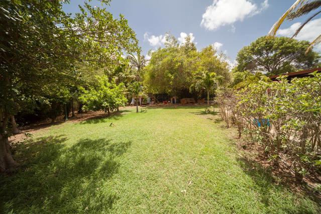 Palm Trees Apartments Βίλλεμσταντ Εξωτερικό φωτογραφία